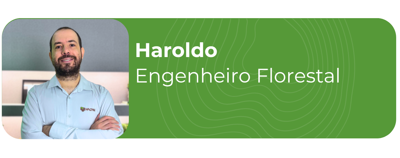 Haroldo 2026