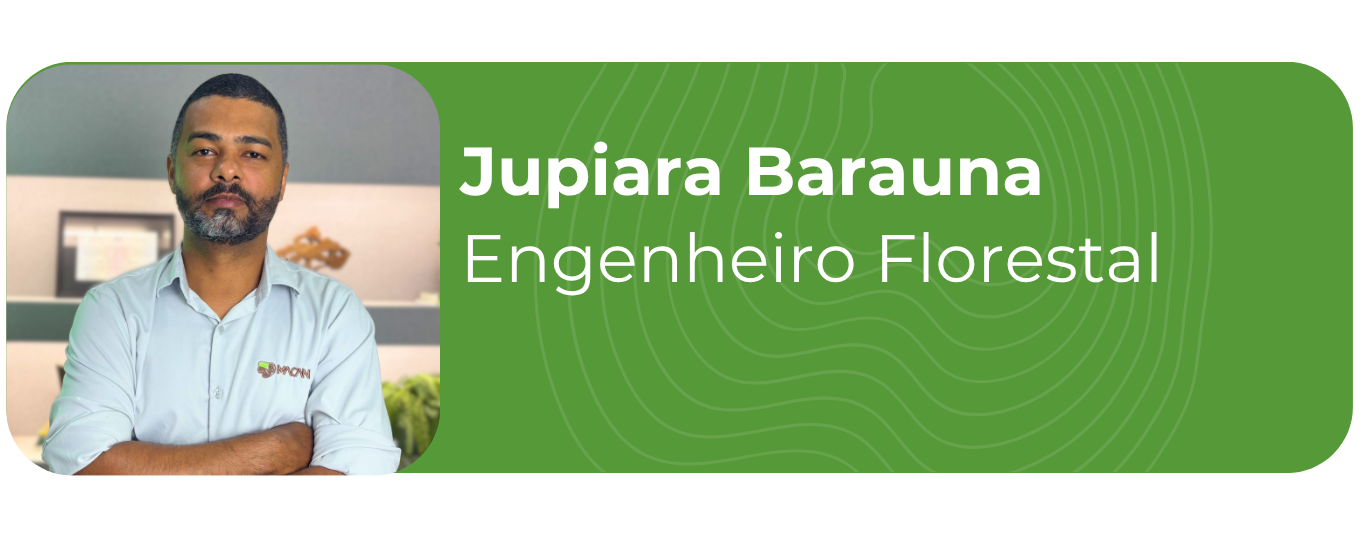 Jupiara 2026