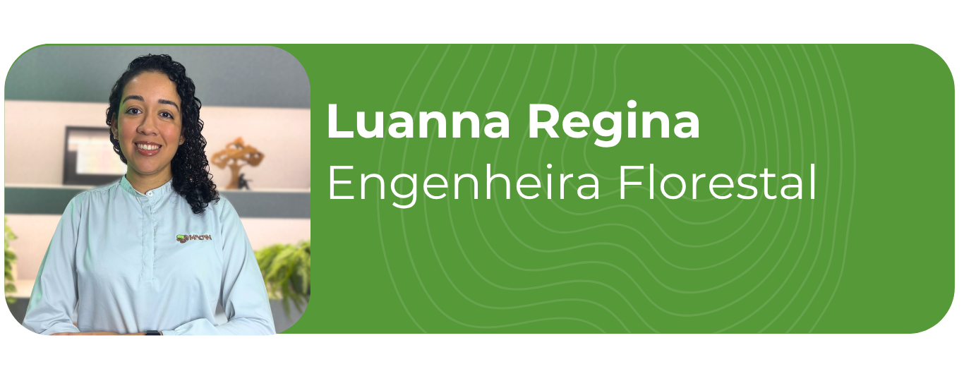 Luanna 2026