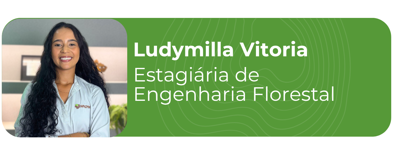 Ludymilla Vitoria 2026