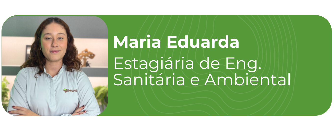 Maria 2026