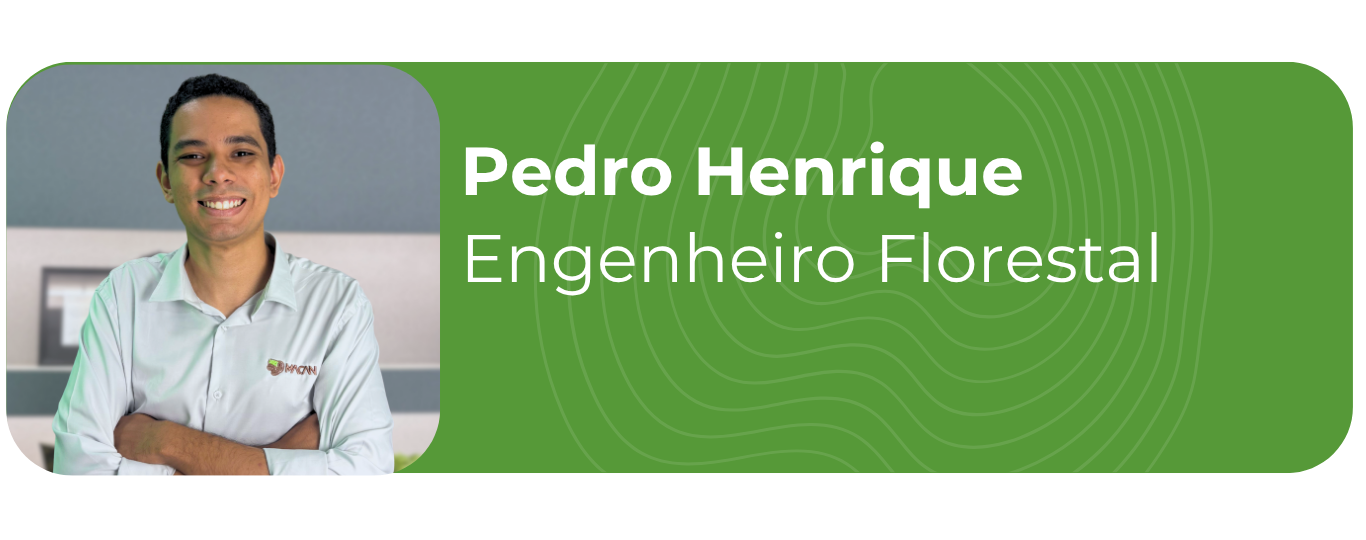Pedro Henrique 2026_3